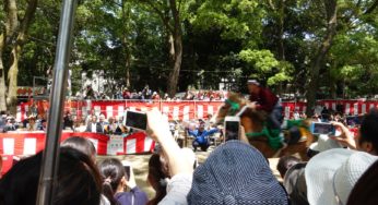 【京都】藤森神社で馬の曲乗りを見てきたよ！